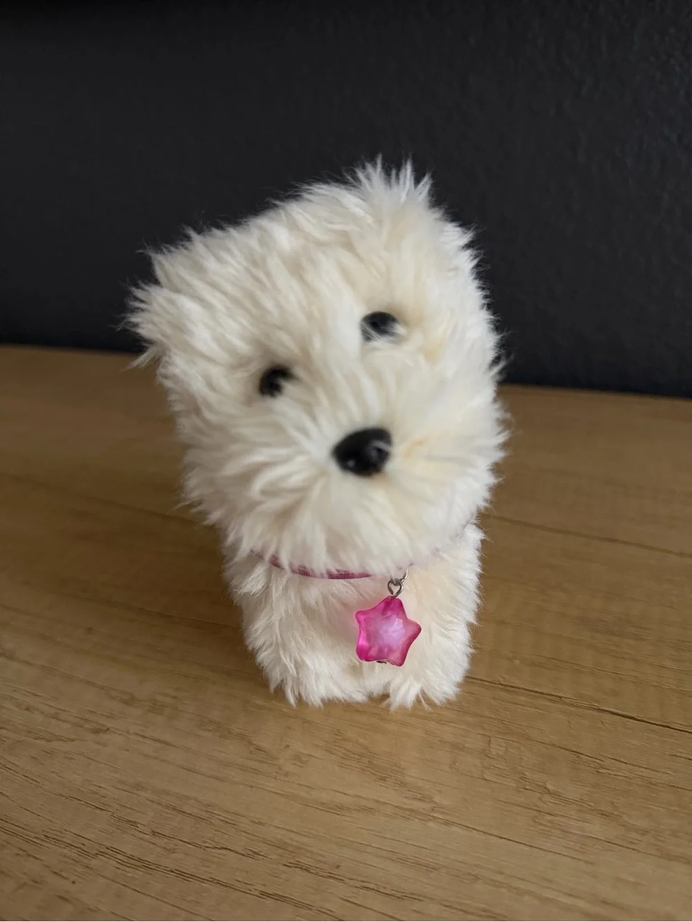 American Girl Doll Coconut the Dog
